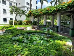 Central Green Condominium (D3), Condominium #454556871